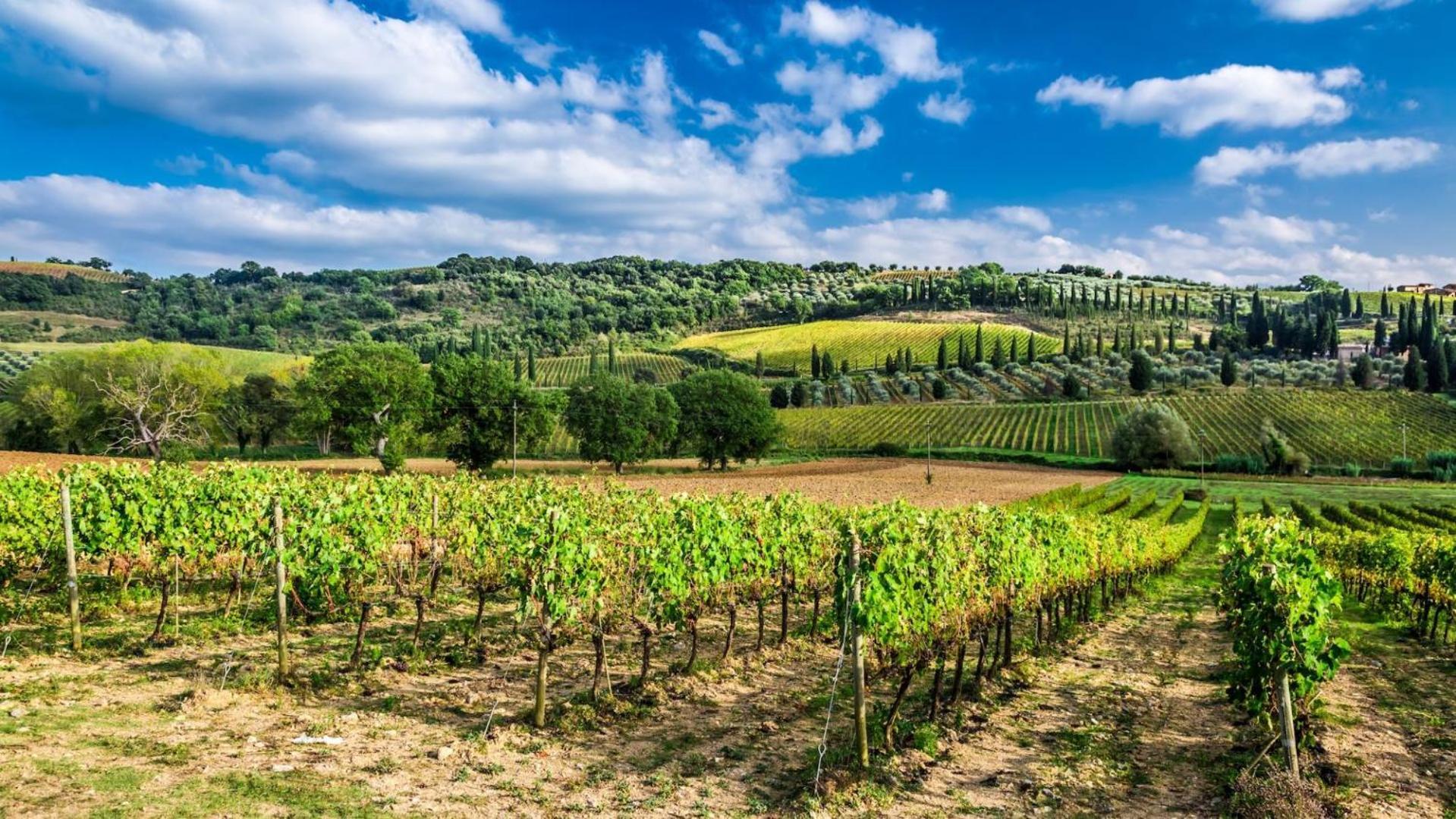 Terre Gialle - La Val D'Orcia Nascosta Castel del Piano  Exteriér fotografie