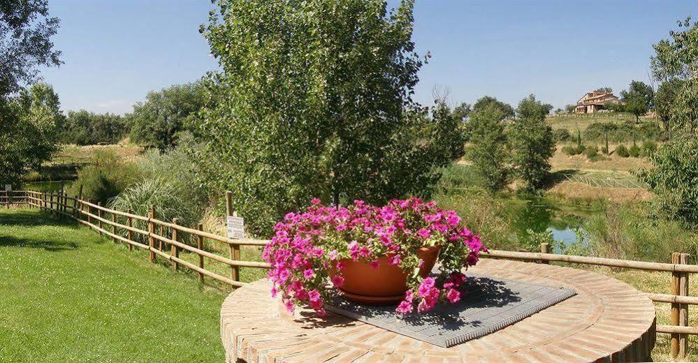 Terre Gialle - La Val D'Orcia Nascosta Castel del Piano  Exteriér fotografie