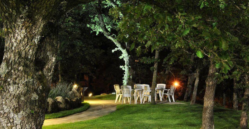 Terre Gialle - La Val D'Orcia Nascosta Castel del Piano  Exteriér fotografie